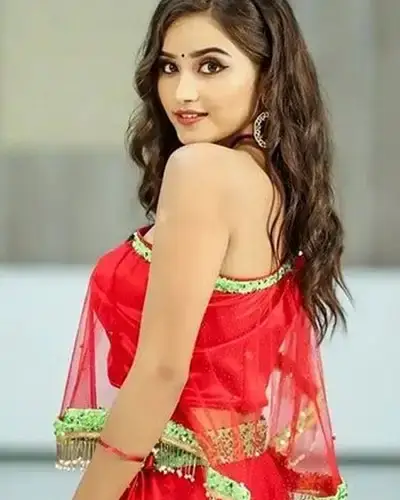 Call Girls Service Bhagyanagar